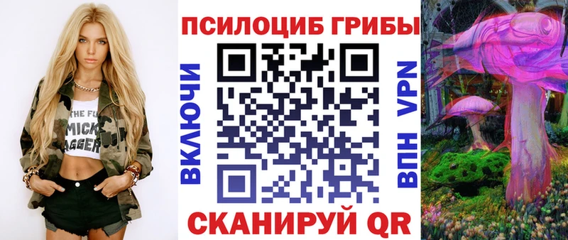 Галлюциногенные грибы Psilocybine cubensis  Электросталь 