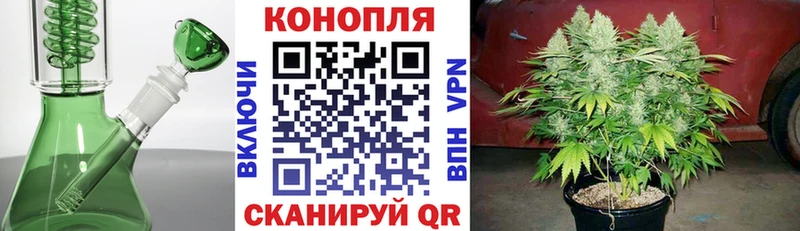 Бошки Шишки сатива  продажа наркотиков  площадка состав  Электросталь 
